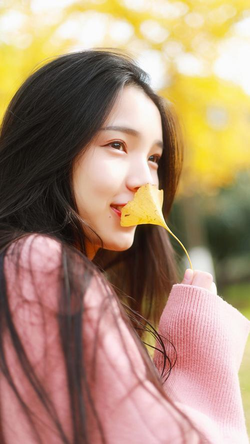 家庭乱伦小说阅读界面